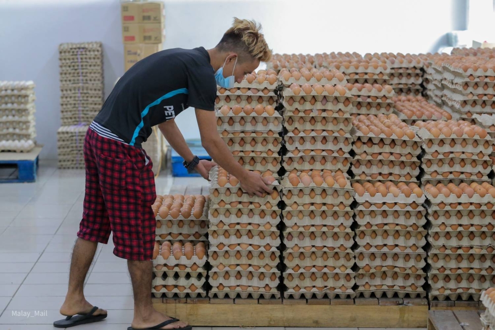 Datuk Seri Alexander Nanta Linggi said the Ministry of Domestic Trade and Consumer Affairs have implemented controls and monitor the market regarding the distribution of chicken eggs. — Picture By Devan Manuel