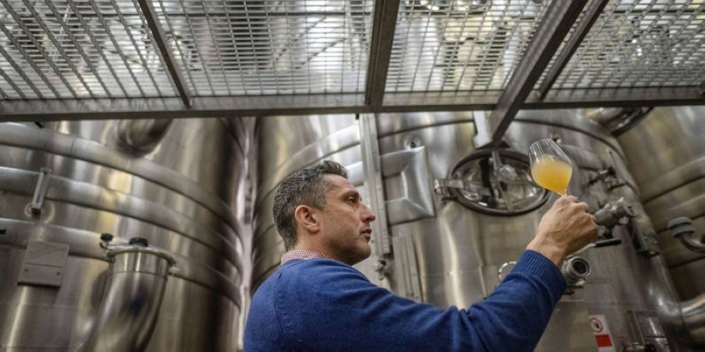 Gusbourne Estate’s chief winemaker Charlie Holland extracts grape juice from a fermentation vessel at the Gusbourne Estate, Appledore near Ashford. ― ETX Studio pic