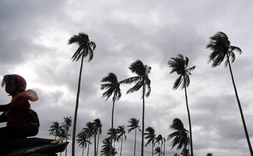 Strong winds bend coconut trees in Kampung Pantai Sepat in Kuantan November 25, 2019. — Bernama pic