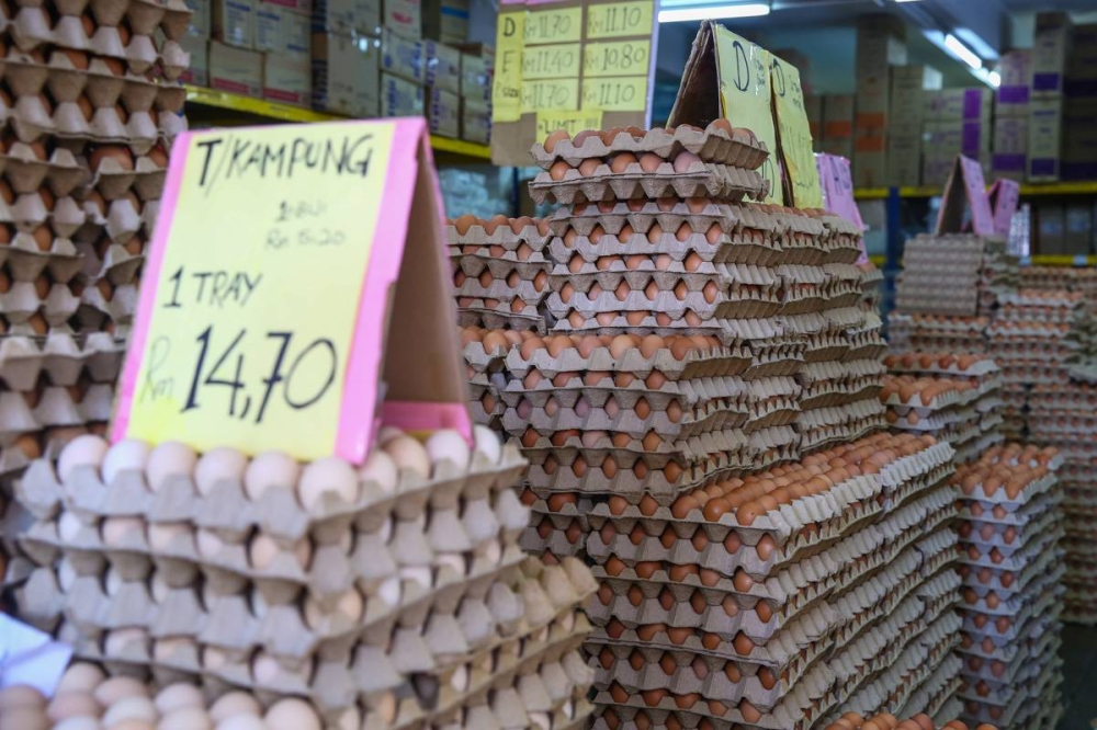 Eggs are displayed for sale at a shop in Kuala Lumpur February 15, 2022. — Picture by Yusof Mat Isa