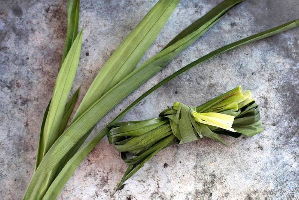 Bundles of fresh 'pandan' leaves for aroma.