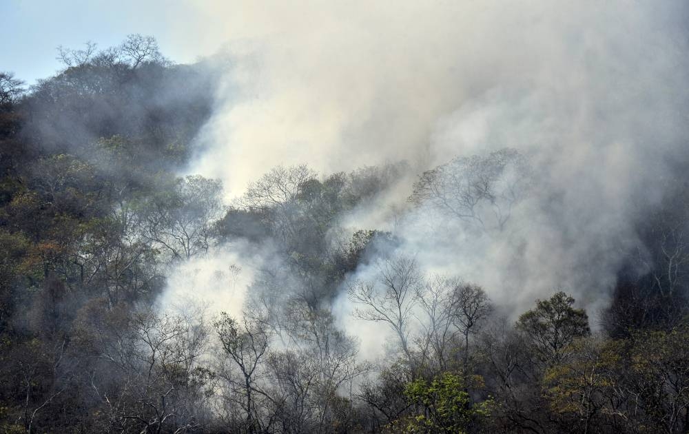 Smoke rises from forest fires in the community of Quitunuquina, near Robore in eastern Bolivia, south of the Amazon basin, August 28, 2019. — AFP pic