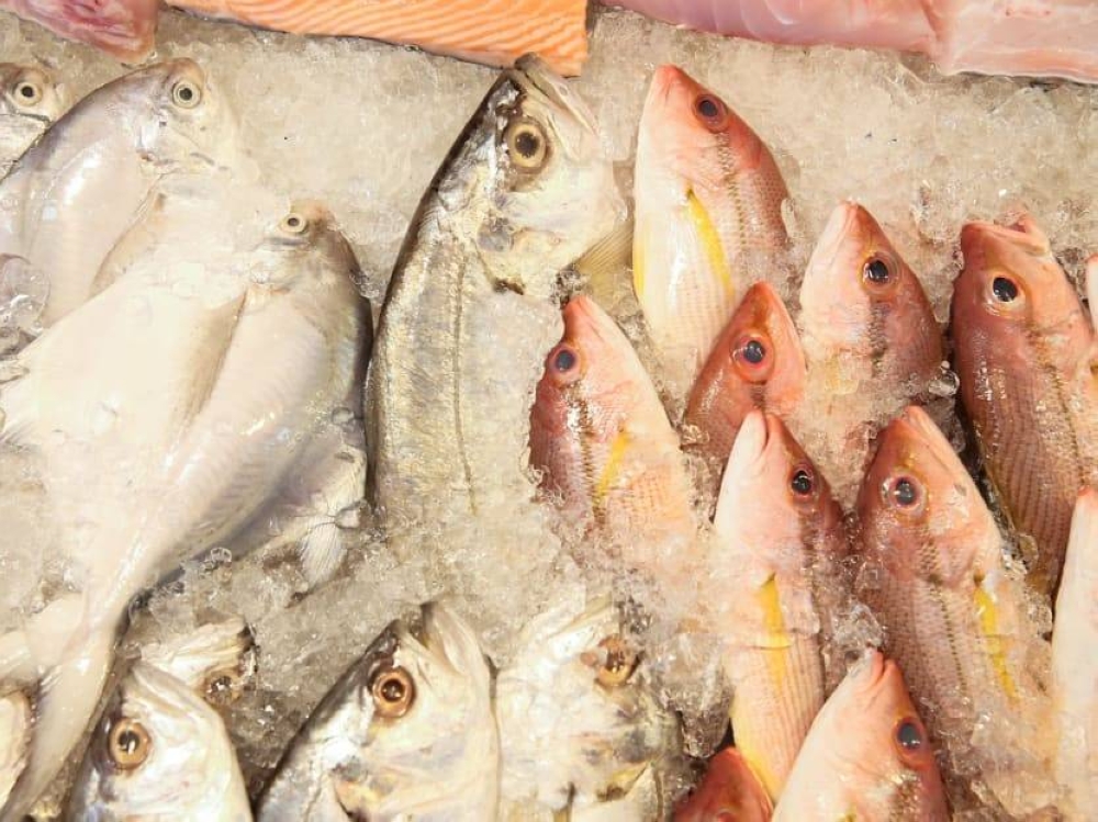 Fish wholesalers and merchants told TODAY that with the Chinese New Year festive season approaching, prices may come under further upward pressure as demand increases. — TODAY pic