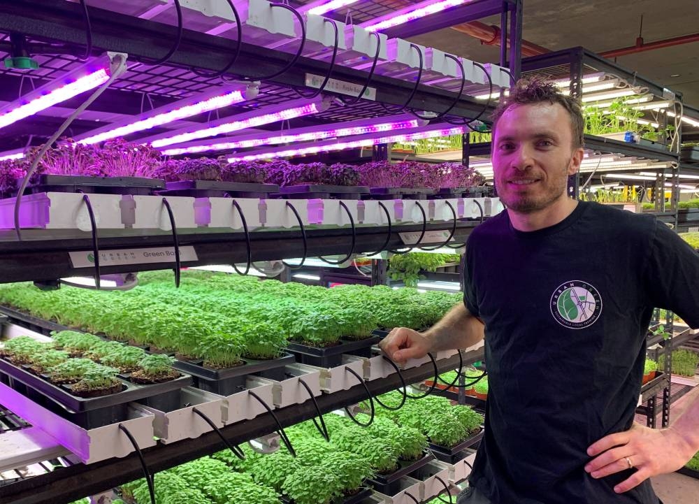 Noah Verin, the owner of Sydney farm Urban Green, stands near herbs and micro-greens that he grows with his team in a basement carpark at central business district, in Sydney, Australia, October 27, 2022. — Reuters pic