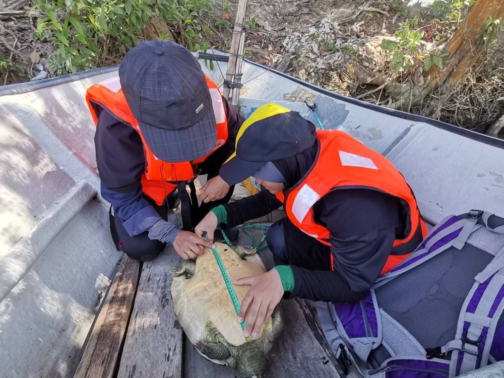 CIMB Islamic contributes 0.2 per cent of EcoSave Savings Account-i’s total average portfolio balance to environmental activities. — Picture courtesy of CIMB Islamic