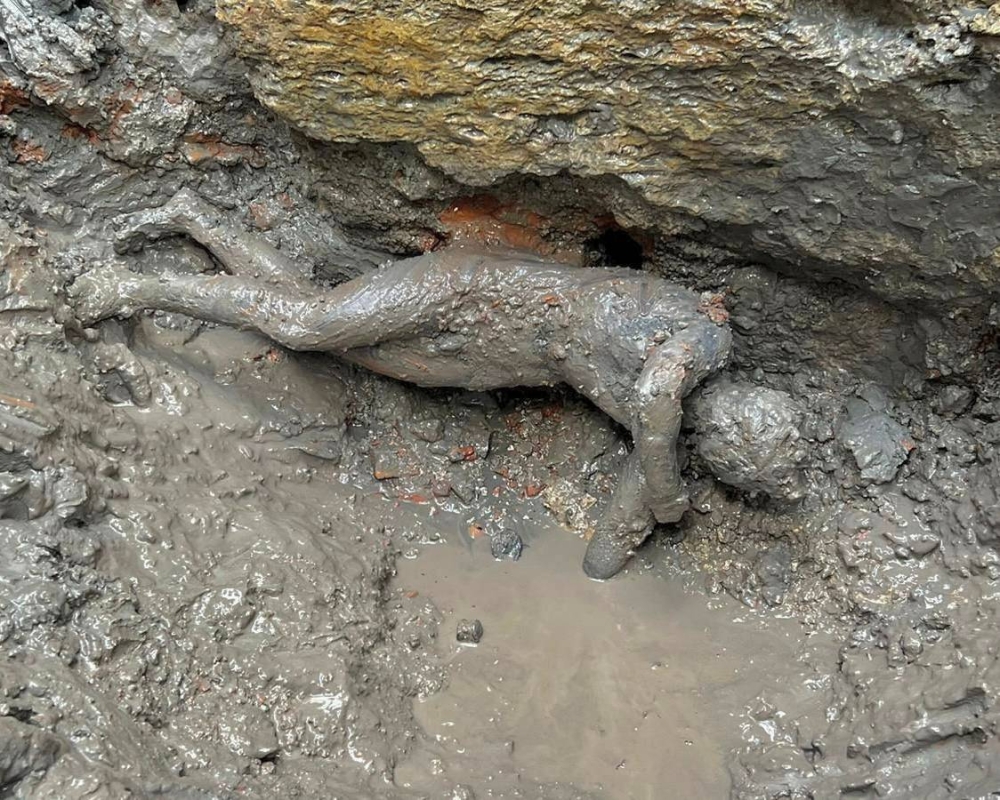 A newly discovered 2,300-year-old bronze statue lies on the ground in San Casciano dei Bagni, Italy, in this handout photo obtained by Reuters on November 8, 2022. — Ministero della Cultura handout pic via Reuters