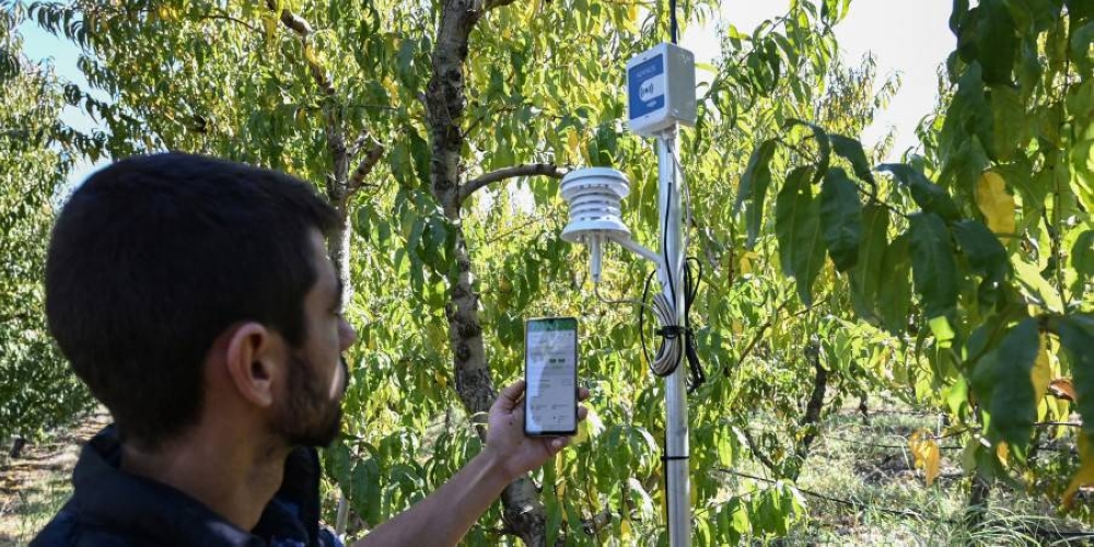 Using real-time data recorded by a weather station, a farmer can analyse and correlate the impact of weather conditions on crops. ― ETX Studio pic