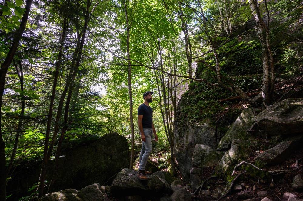 Canadian forest service research scientist Yan Boulanger stands at a boreal forest threshold point in the Mont Wright Park near Quebec City on August 27, 2022. — AFP pic