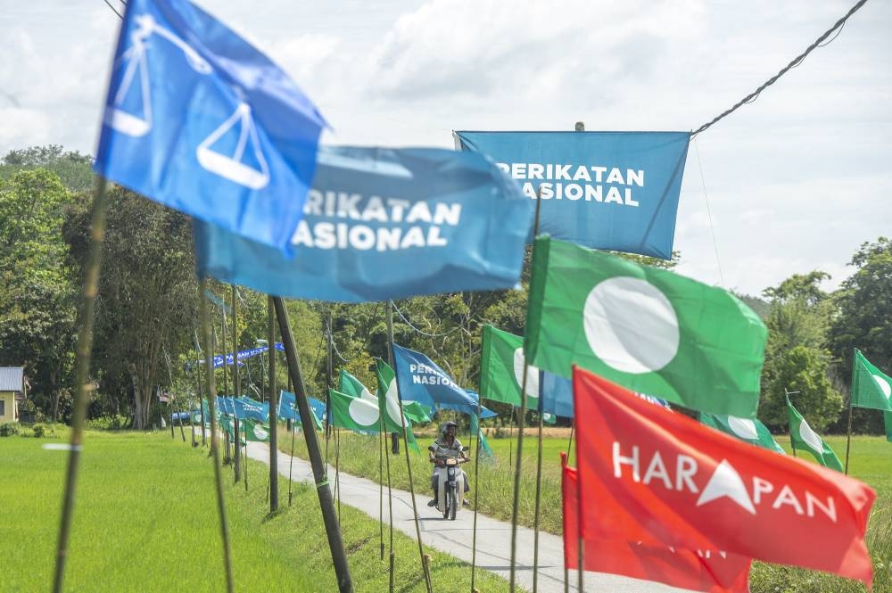 Party flags are seen during the 15th general election in Pendang, Kedah. —Pictures by Shafwan Zaidon