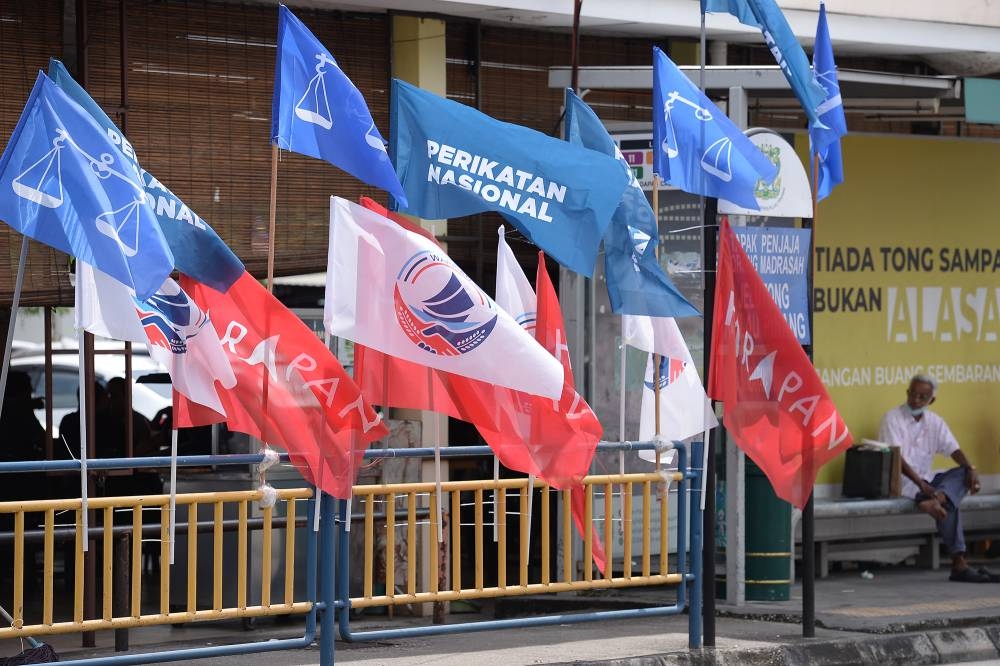 Party flags of the various political parties are seen along the walkway in Jelutong, Penang November 17, 2022. — Picture by Steven KE Ooi