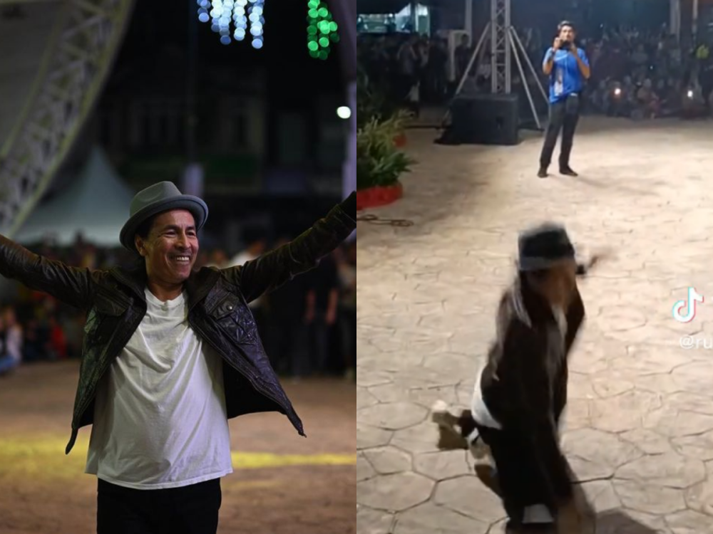 Datuk Amy Search performing at the Karnival Anak Muda Gegor in Bera, Pahang on November 12. — Screenshot via TikTok and Instagram/ rudy jerung and Amy Search 