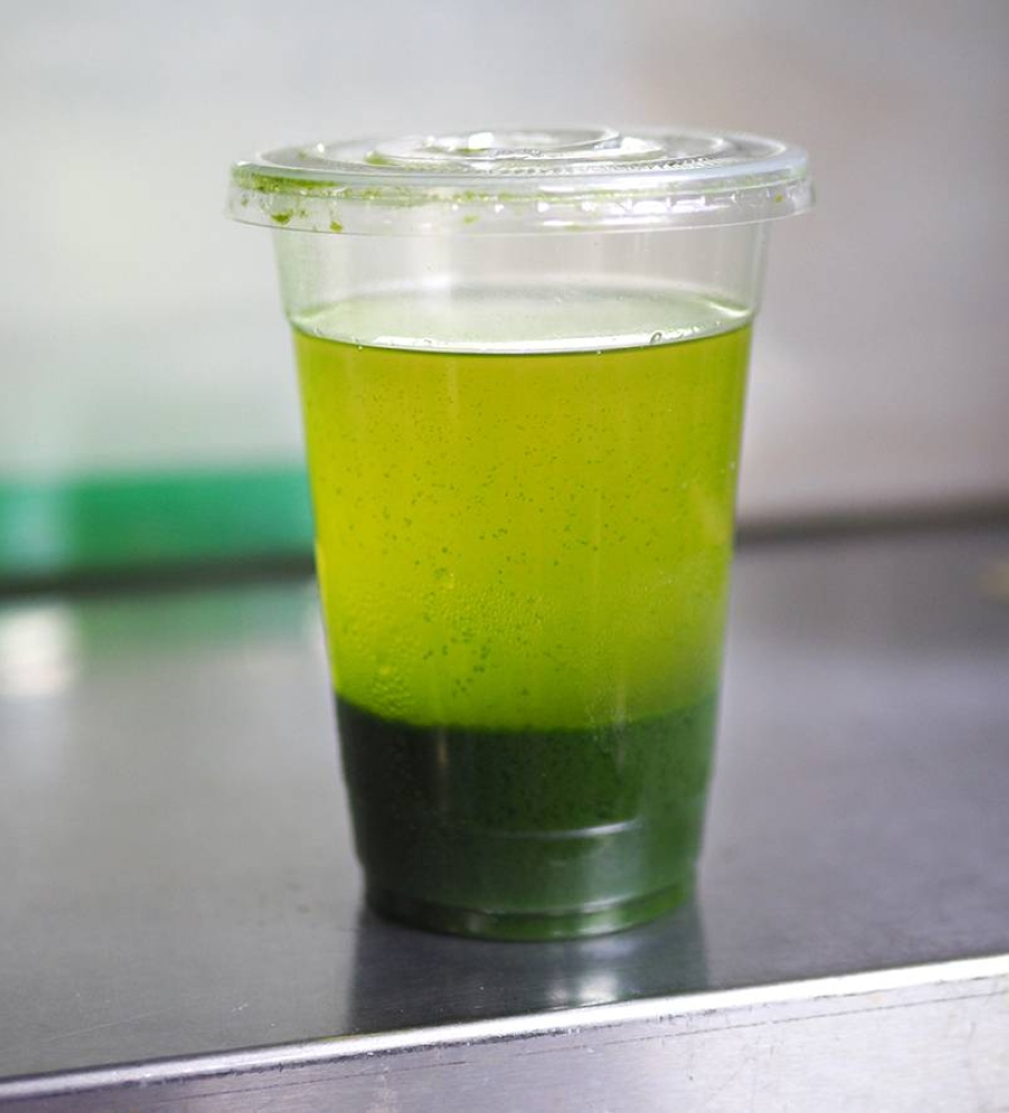 The all-important pandan extract is made from plump, dark green pandan leaves