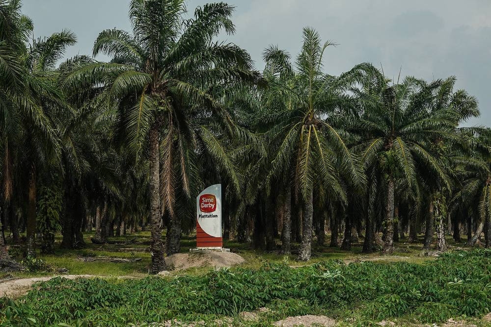 A Sime Darby plantation signboard is seen in Sekinchan, Selangor October 31, 2020. — Picture by Miera Zulyana 