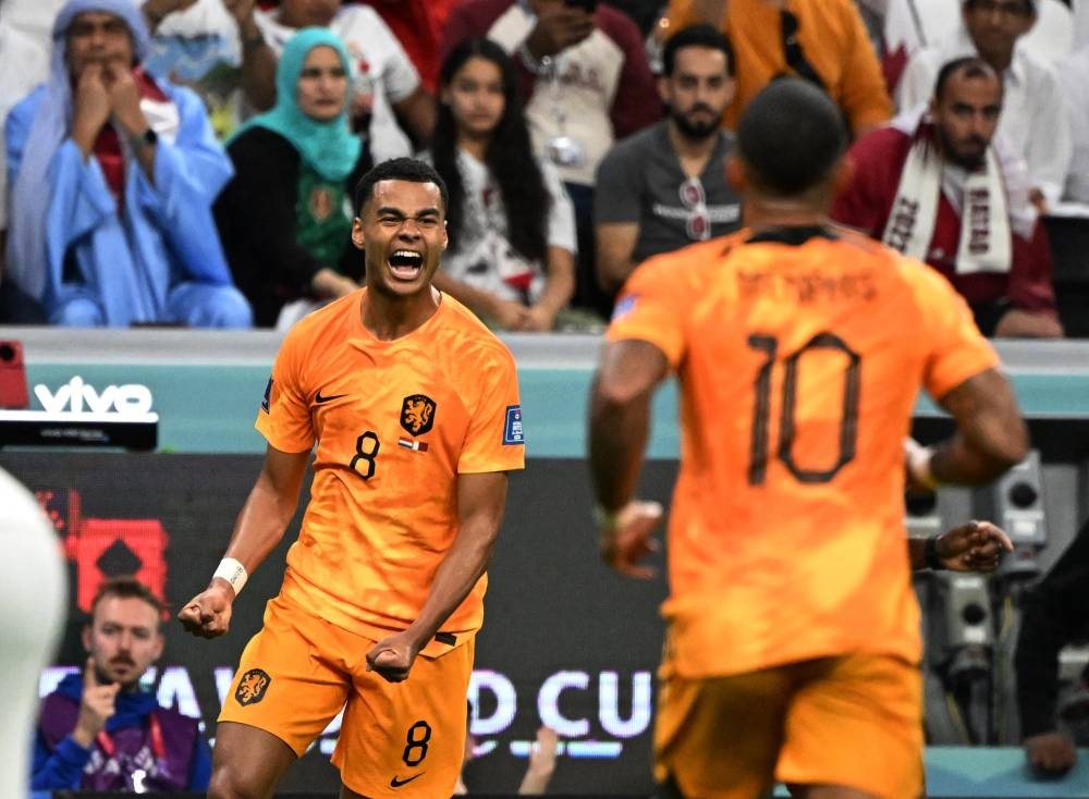 Netherlands' Cody Gakpo celebrates scoring their first goal against Qatar at the Al Bayt Stadium, Al Khor November 29, 2022. — Reuters pic