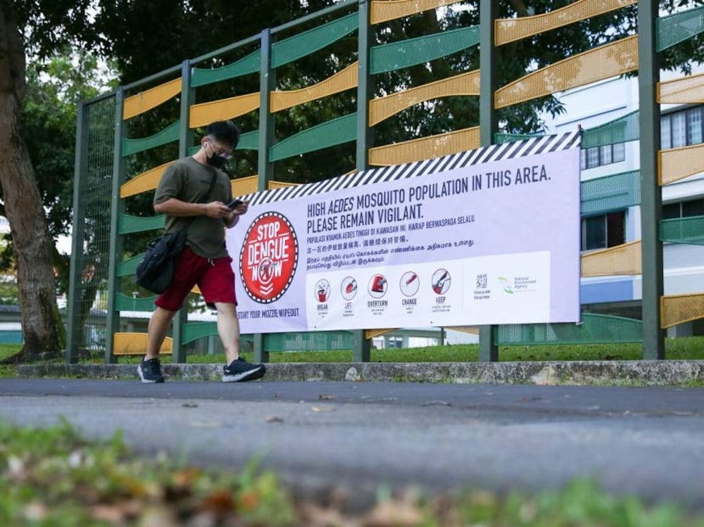 From January to November 2022, NEA conducted about 841,000 dengue inspections island-wide, uncovering about 21,300 Aedes mosquito breeding habitats. — TODAY pic