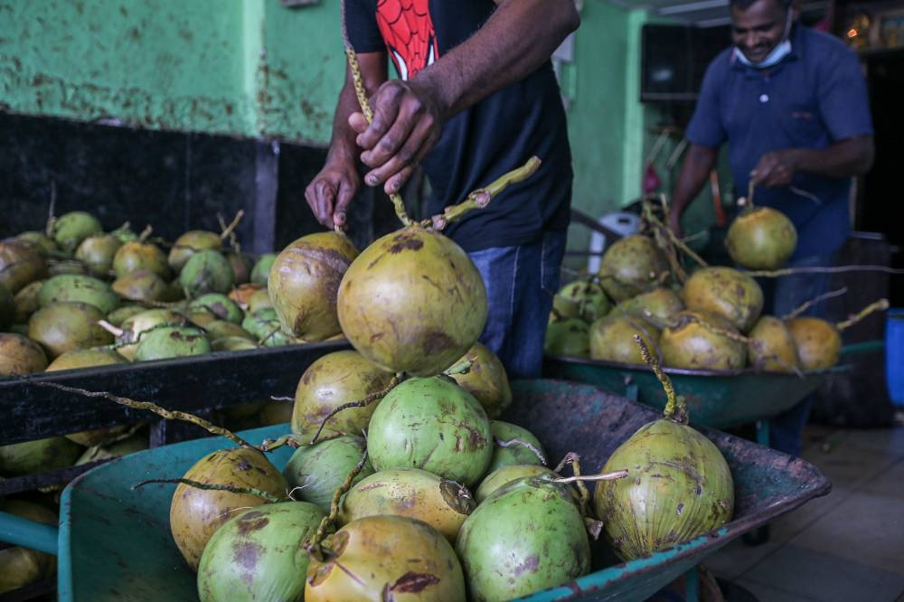 Johor Agriculture, Agro-Based Industry and Rural Development Committee chairman Datuk Zahari Sarip says the state government plans to develop 1,325 hectares of coconut plantations by 2027 to meet the country's needs. ― Picture by Farhan Najib