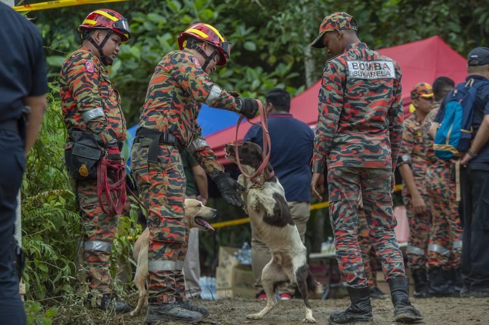 Rescue personnel work at the site of a landslide at the Father's Organic Farm campsite in Batang Kali December 17, 2022. ― Picture by Shafwan Zaidon