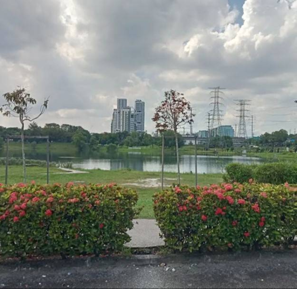 The Klang Valley has many lovely parks like this one where you can ‘get lost’ in Nature for a little while. — Picture by Alwyn Lau