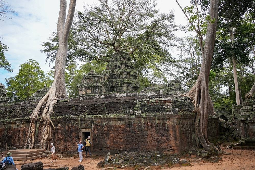Ta Prohm Temple in Angkor Archaeological Park, Siem Reap, Cambodia. ― Picture by Cal Wong