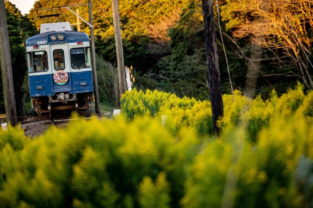 This picture taken on October 20, 2022 shows a train travelling through Choshi Electric Railway Line in Choshi, northeast Chiba prefecture. — AFP pic