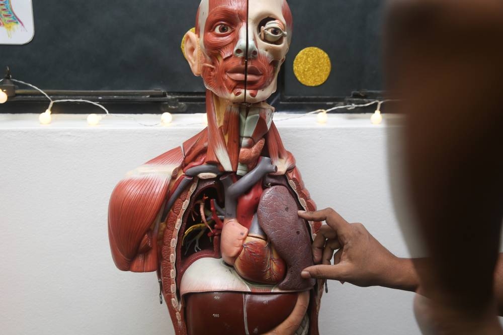 Universiti Malaya's Human Anatomy Expo is open to the public at its Human Anatomy Lab until January 7, 2023. — Picture by Choo Choy May
