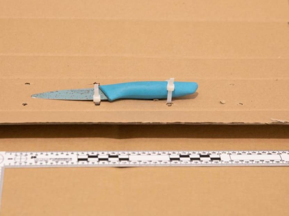 The knife purportedly used by the man during the incident in Yishun on January 9, 2023. ― TODAY pic