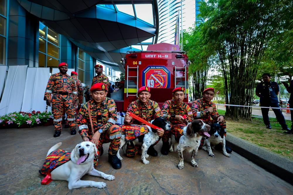 (From left to right) Lady, Grouse, Pop and Blake from the Fire and Rescue Department's K9 unit along with their handlers. — Picture via Facebook/ KPKT Malaysia