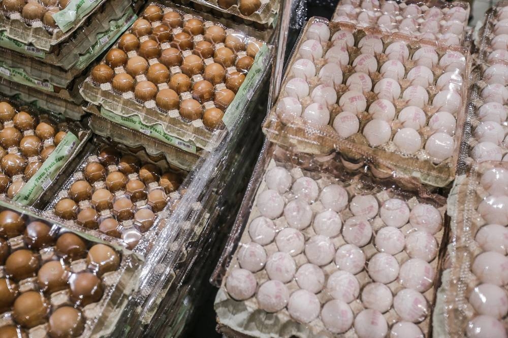 Fuziah said the government prefers to control the price of eggs for the time being. — Picture by Hari Anggara