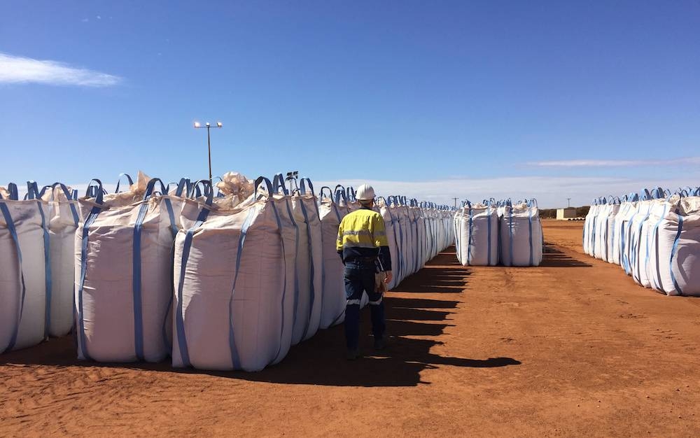 A Lynas Corp worker walks past sacks of rare earth concentrate waiting to be shipped to Malaysia, at Mount Weld, northeast of Perth, August 23, 2019. — Reuters pic