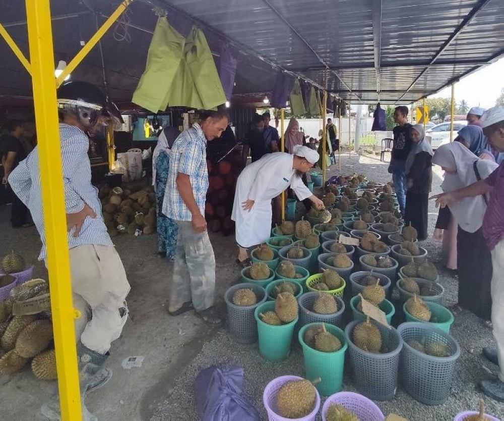 A durian trader in Kelantan had 5,000 kilogrammes of the King of Fruits snapped up by customers in less than two hours on Saturday. — Picture via Facebook/ Pemburu Buah Group