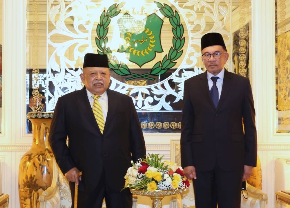 Raja of Perlis Tuanku Syed Sirajuddin Putra Jamalullail meets Prime Minister Datuk Seri Anwar Ibrahim at Istana Arau January 16, 2023. — Bernama pic