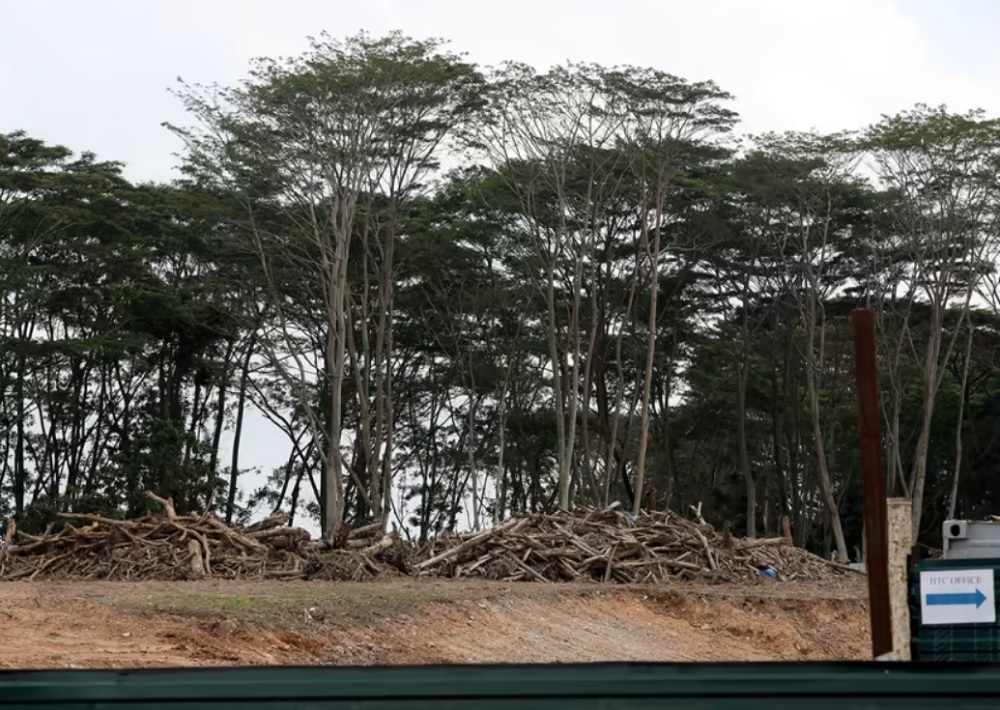Illegal land clearing in Singapore: CPG Consultants vice-president gets S$26,000 fine for role in felling trees in Kranji without approval - Vimarsana News