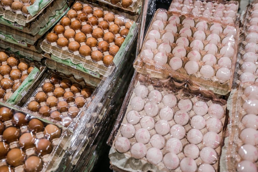 Agriculture and Food Security Ministry: Chicken, egg supply to return to normal from this month - Vimarsana News