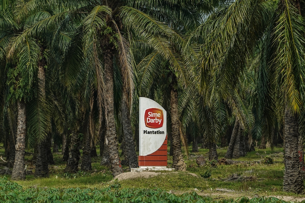 The United States had banned imports from Sime Darby Plantation in December 2020 over allegations of forced labour practices. ― Picture by Miera Zulyana