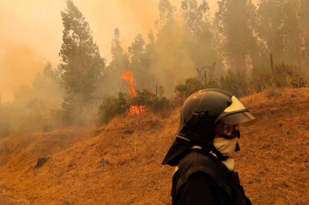 View of a fire in Nacimiento, Concepcion province, Chile on February 4, 2023. — AFP pic