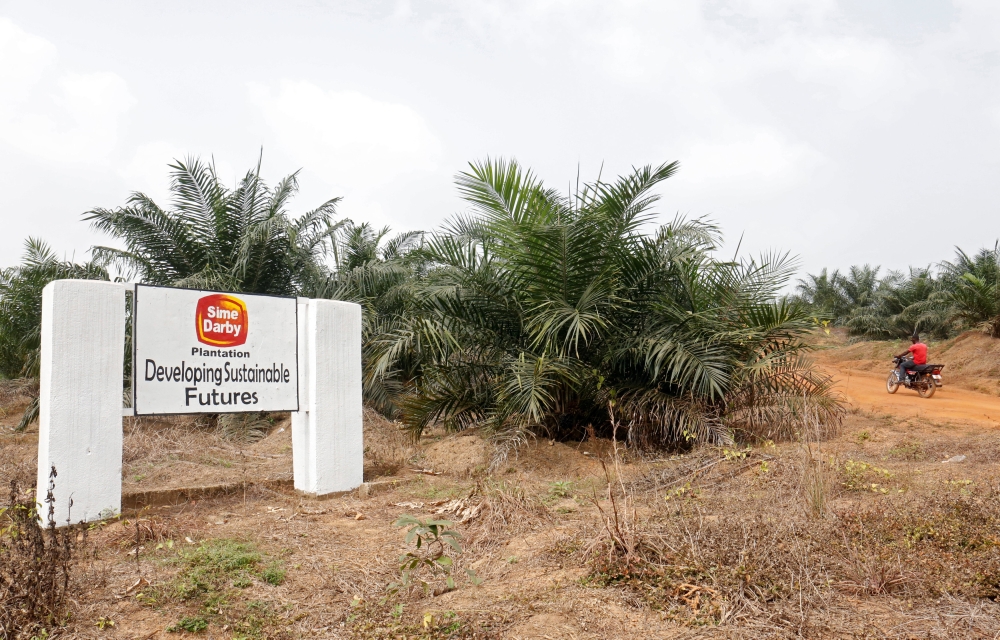 In a research note today, Hong Leong Investment Bank said the latest development would allow SDPL to resume exports of its palm oil products to the US, although the impact on SDPL — both in terms of earnings and share price — would likely be insignificant. — Reuters pic