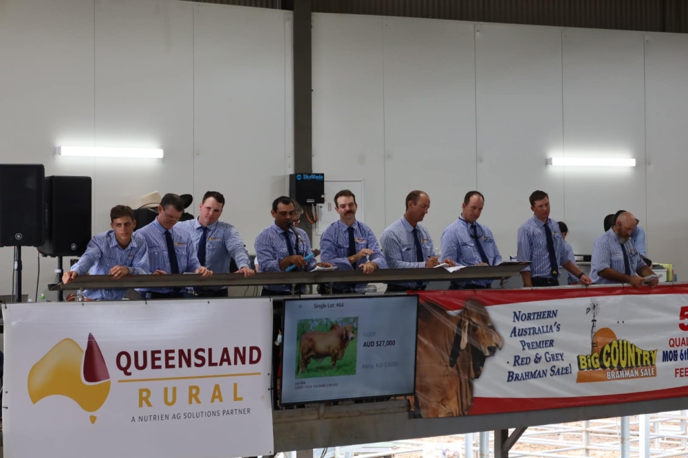 Auctioneers at the Big Country Brahman Sale. — Picture via Facebook/Big Country Brahman Sale