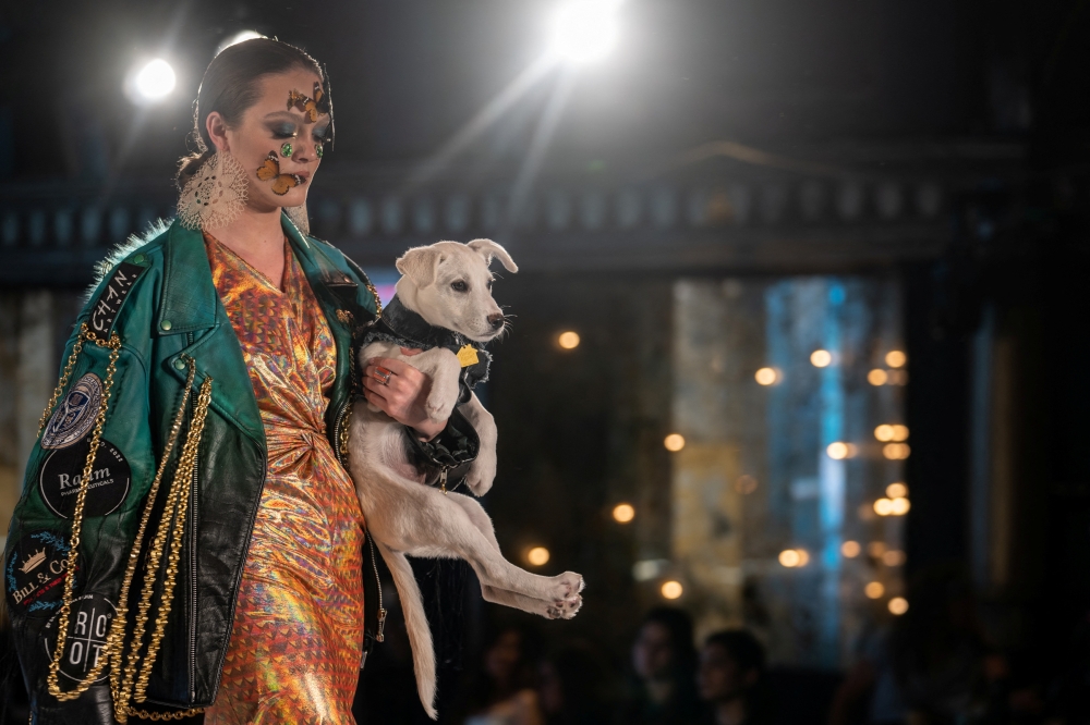 Ten models wearing outfits designed by the likes of Nicole Miller, Victor de Souza, Brook Wilder and others graced the runway with the four-legged companions. — Reuters pic