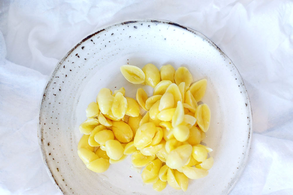 Golden orbs of ginkgo.