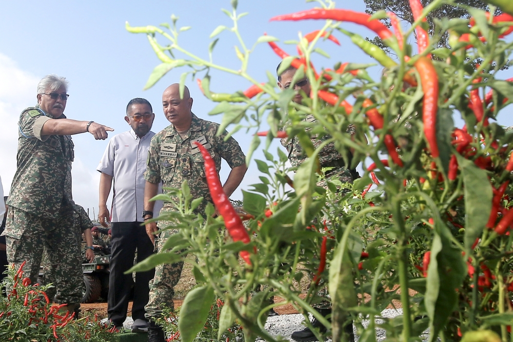 Chief of Army Gen Tan Sri Zamrose Mohd Zain (left) visits the Army Integrated Farm at Kem Syed Sirajuddin in Gemas February 14, 2023. — Bernama pic