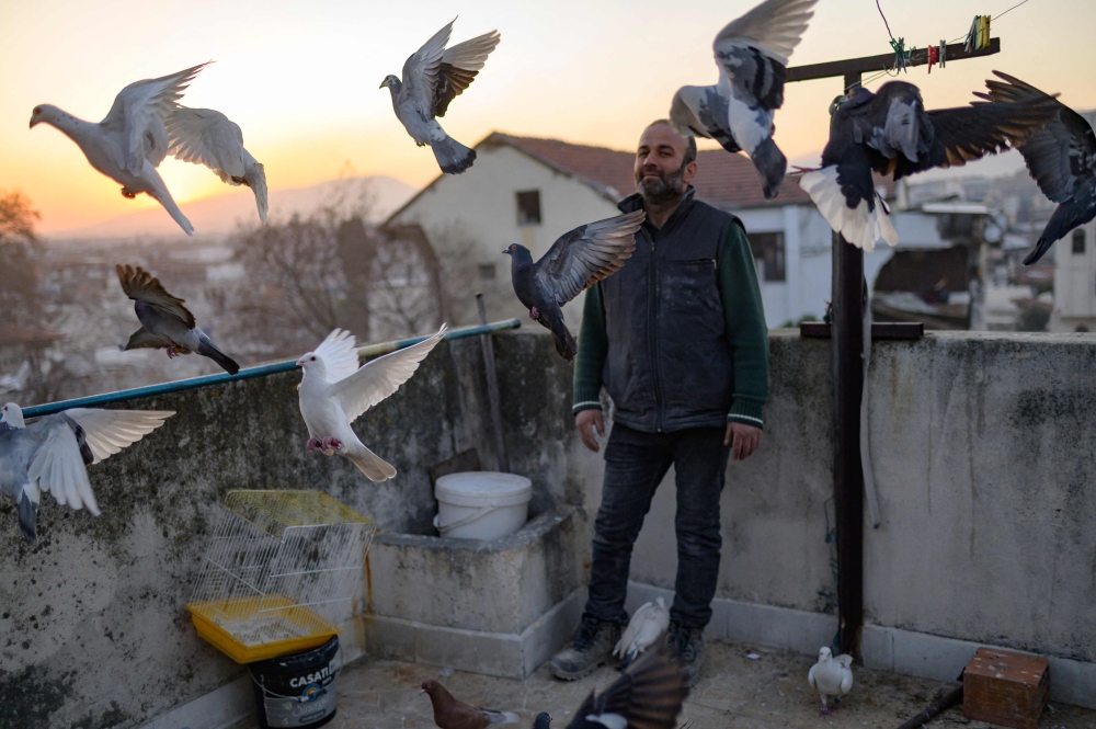 Murat Guzel scatters bird food on the roof of a restaurant where he worked before the earthquake, in Antakya south of Hatay, on February 17, 2023, after the 7.8-magnitude earthquake which struck parts of Turkey and Syria. — AFP pic
