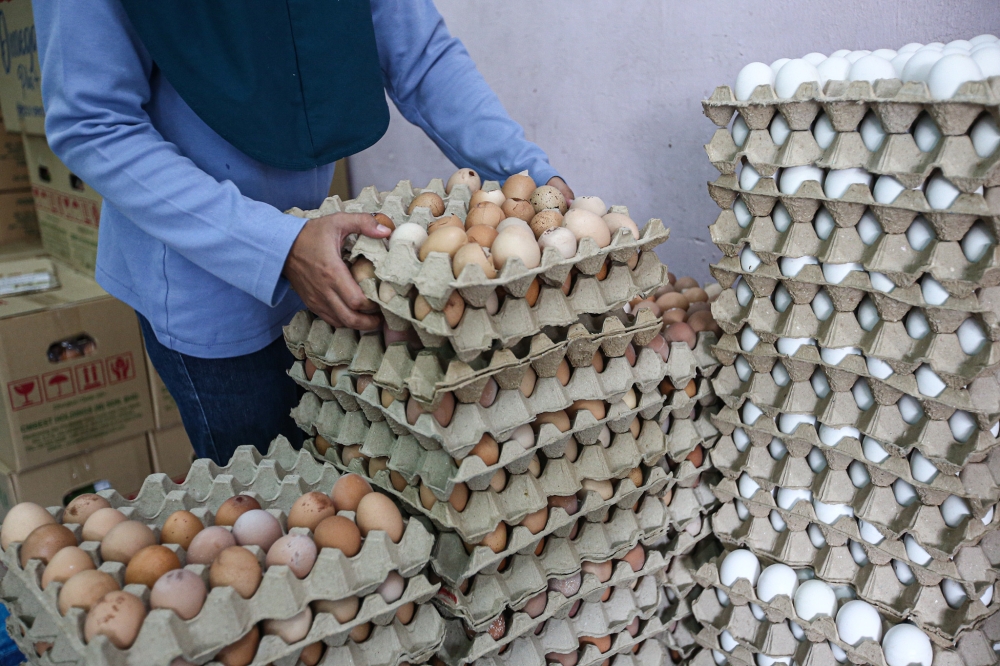 The prices of chicken and eggs are expected to be floated after June as part of the government’s efforts to overcome food shortage. — Picture by Farhan Najib