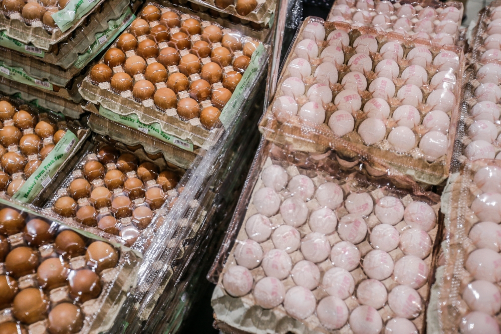 While saying government subsidies should be removed if price controls were to be removed for chicken and egg, Ng said there would also be a need to look at the whole picture to manage food costs. — Picture by Hari Anggara