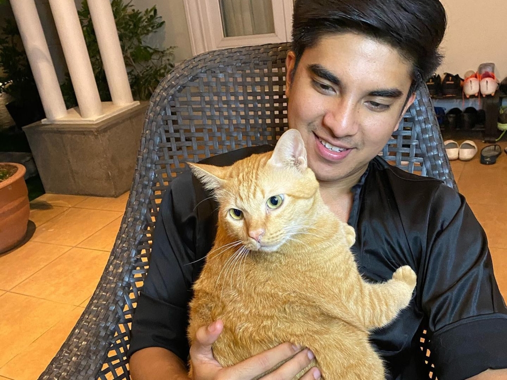 Syed Saddiq has posed many times with his beloved cat Toby. ― Picture via Facebook/Syed Abdul Rahman