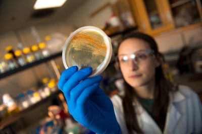 Drugs from the deep: Scientists explore ocean frontiers - Vimarsana News