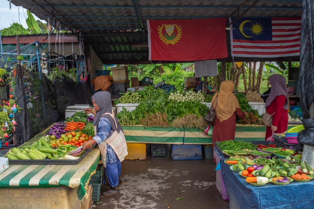 A vegetable stall is seen at the Tikam Batu wet market in Sungai Petani, Kedah November 16, 2022. — Picture. by Shafwan Zaidon