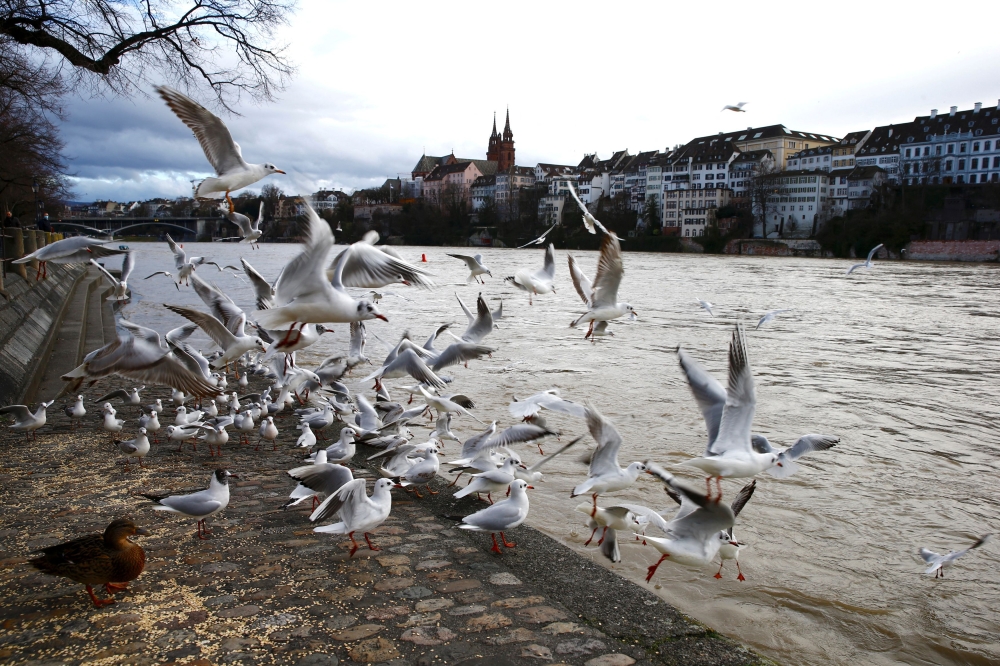 For the first time in Switzerland, a prisoner has ended his life with the help of an assisted suicide organisation, according to a media report. — Reuters file pic