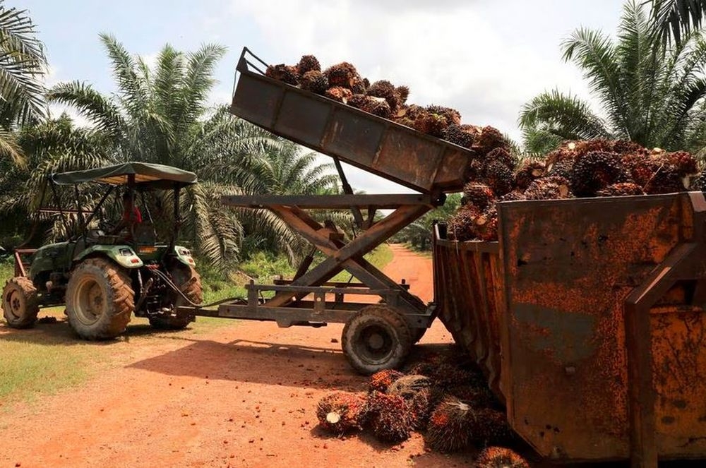 Malaysian Biodiesel Association (MBA) has urged the government to expedite the implementation of the B20 biodiesel programme nationwide. — Reuters file pic