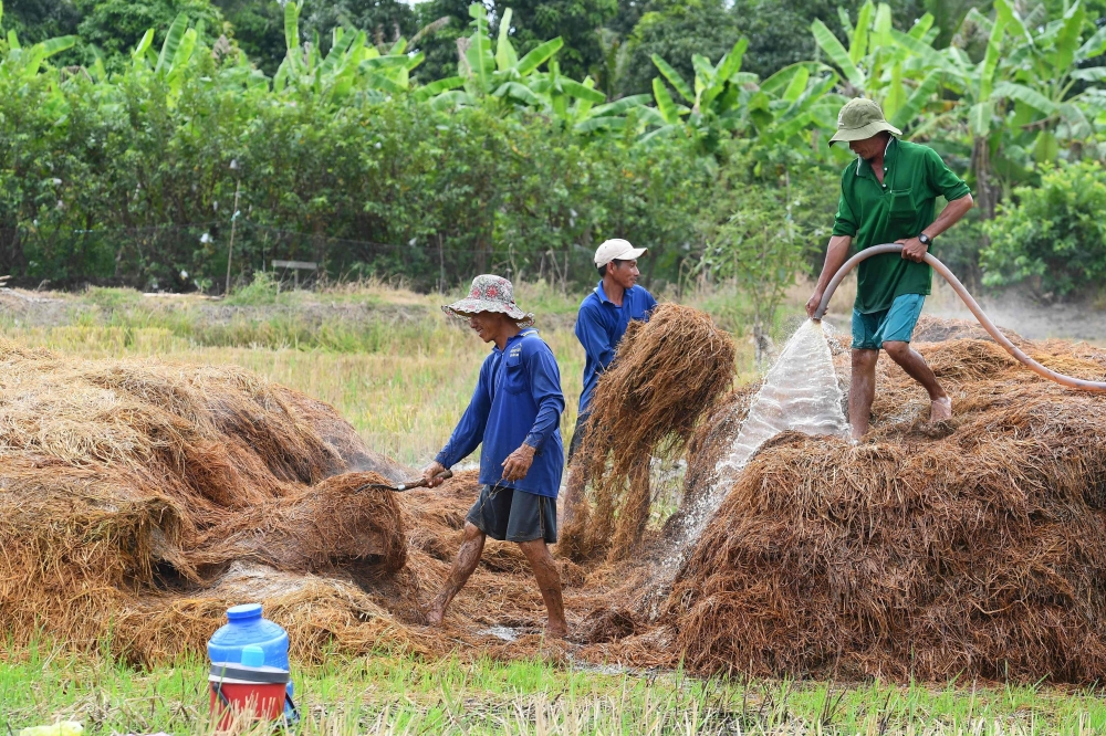 This photo taken on February 28, 2023 shows farmers mixing straw to grow mushrooms in Can Tho. — AFP pic