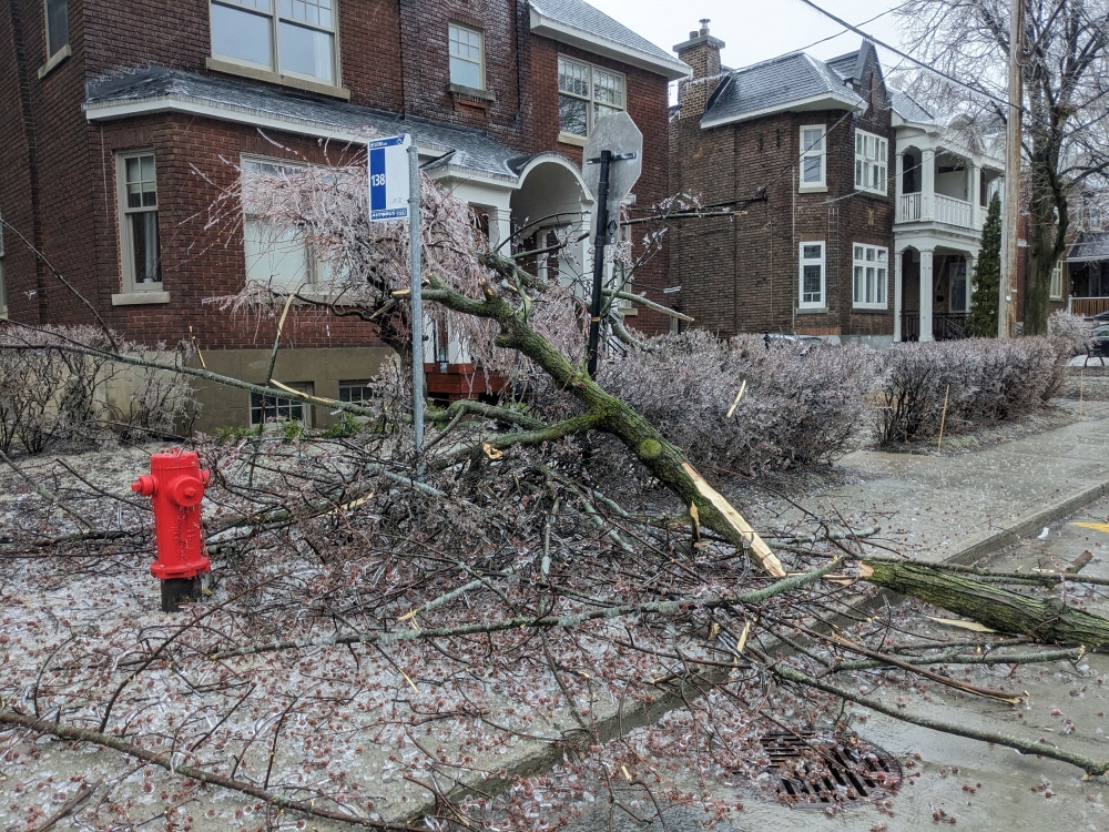 View of the damage following an ice storm in Montreal, Quebec, Canada April 5, 2023 in this image obtained from social media. — Picture by Tony Salador via Reuters